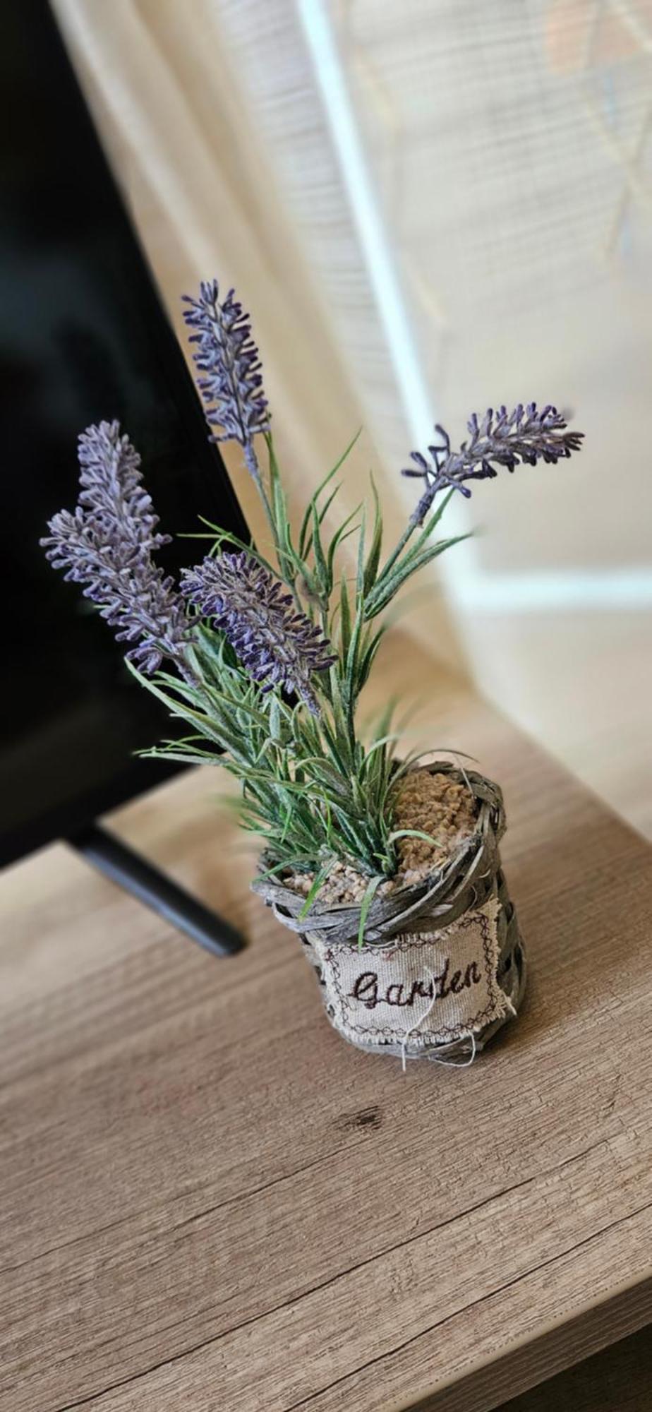Greta Apartman ไฮจ์ดุสโซบอสโล ภายนอก รูปภาพ